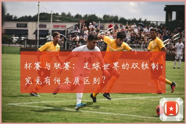 杯赛与联赛：足球世界的双轨制，究竟有何本质区别？
