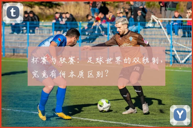杯赛与联赛：足球世界的双轨制，究竟有何本质区别？